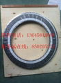 PTFE filler spiral wound gasket