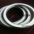 SUS304+ PTFE filler spiral wound gasket