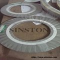spiral wound gasket with 304 inner ring 8