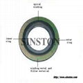 spiral wound gasket with 316 outer ring