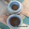 spiral wound gasket with 304 inner ring and carbon steel outer ring