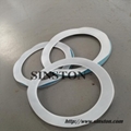 PTFE enveloped Non-asbestos gasket 5