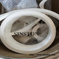 Expanded  PTFE gasket