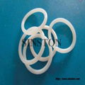 PTFE O Ring 