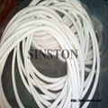 PTFE O Ring 