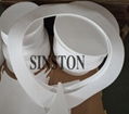 Chinese Expanded PTFE gasket