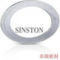 SUS304+Graphite Basic type Spiral wound gasket