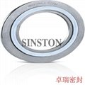 spiral wound gasket with CS outer ring