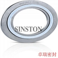 spiral wound gasket with CS outer ring 8