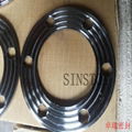 SS304 graphite seal gasket