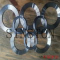 SS304 graphite seal gasket