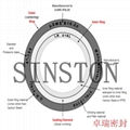 spiral wound gasket with inner and outer ring 13