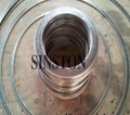 reinforced graphite gasket with outer eyelet 6