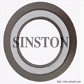 Spiral Wound Gasket Made of 304ss, 316ss, CS 8