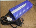 electronic HID ballasts