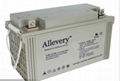 Allevery  battery 1