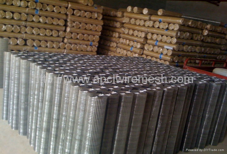 Welded Wire Mesh 3