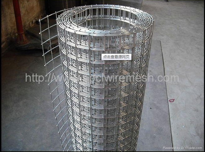 Welded Wire Mesh 4