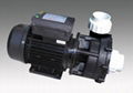 LX Whirlpool Bath Pump LP200 LP300 LP250