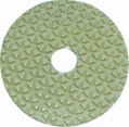 Polishing pads 1