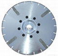 Electro-plated diamond discs with protected -segments 16