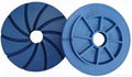 Edge polishing wheels , levigacosta