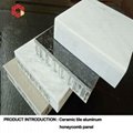 Aluminum Honeycomb Sheet 3