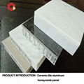 Aluminum Honeycomb Sheet