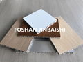 Aluminum Honeycomb Sheet 5