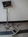 Electronic Platform Scale for  Feather