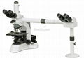 BestScope BS-2030MH Series Multi-Head Microscope with Nice Quality