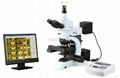 BestScope BS-6020D Automatic Metallurgical Microscope