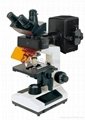 BS-2030FB Trinocular Microscope