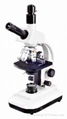 Biological microscope 2