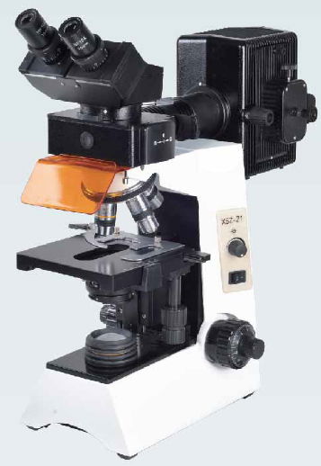 Fluorescence biological microscope