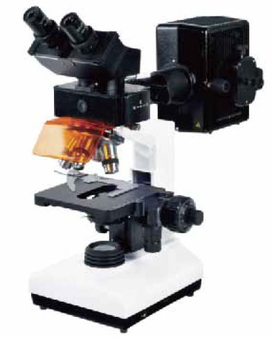 Fluorescence biological microscope 2