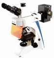 Fluorescence biological microscope 2