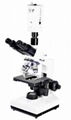 Biological microscope 2