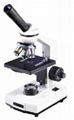 biological microscope