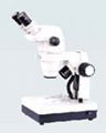 Stereo microscope