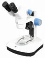 Zoom microscope 3