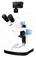 Zoom microscope