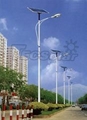 solar street light (40w)