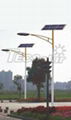 solar street lamp (50w) 1