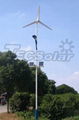 80W Wind-solar hybrid solar LED street light