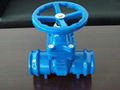 (DIN) Ductile iron resilient seat NRS gate valve 1