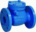 (DIN) Cast Iron Check Valve