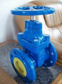 (BS) Cast Iron Gate Valve (NRS)