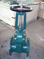 (BS) Cast Iron Gate Valve (RS) 1