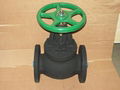 (BS) Cast Iron Globe Valve